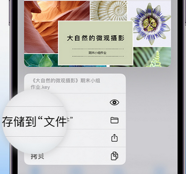 广丰apple维修中心分享iPhone文件应用中存储和找到下载文件