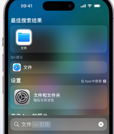 广丰apple维修中心分享iPhone文件应用中存储和找到下载文件 