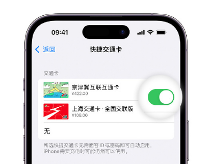 广丰apple维修点分享iPhone上更换Apple Pay快捷交通卡手绘卡面 