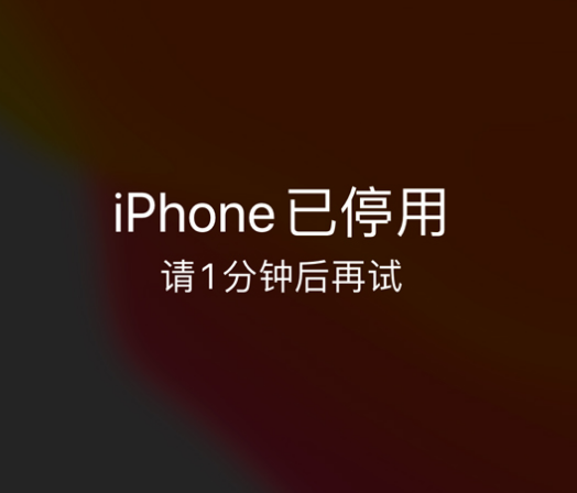 广丰苹果手机维修分享:iPhone 显示“不可用”或“已停用”怎么办？还能保留数据吗？ 