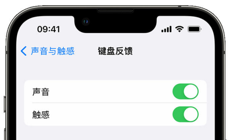 广丰苹果手机维修分享iPhone 14触感键盘使用方法 