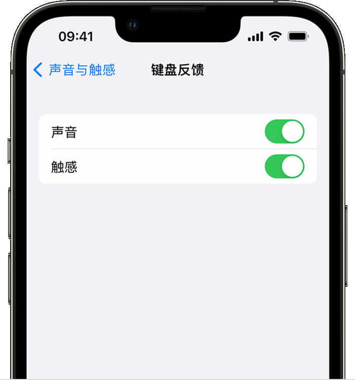 广丰苹果14维修店分享如何在 iPhone 14 机型中使用触感键盘 