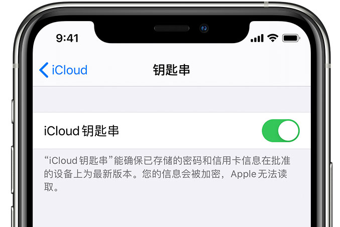 广丰苹果手机维修分享在 iPhone 上开启 iCloud 钥匙串之后会储存哪些信息 