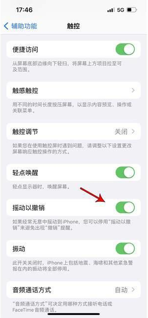 广丰苹果手机维修分享iPhone手机如何设置摇一摇删除文字 